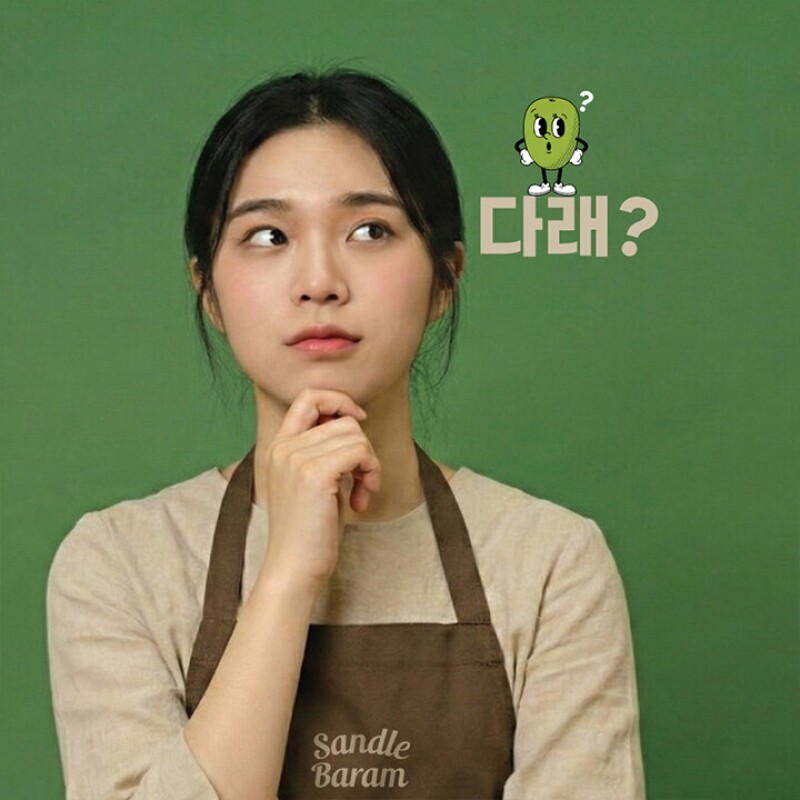 원주몰,산들바람 양당사다 CCAD음료 과일채소100% 국내산 120mL 10개입