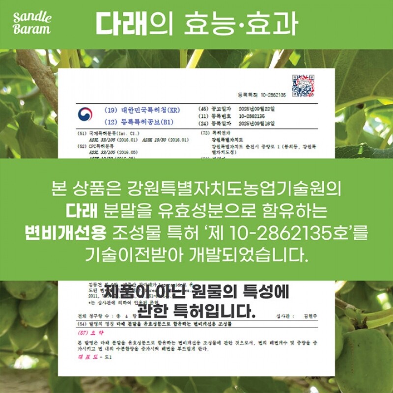 원주몰,산들바람 양당사다 CCAD음료 과일채소100% 국내산 120mL 10개입